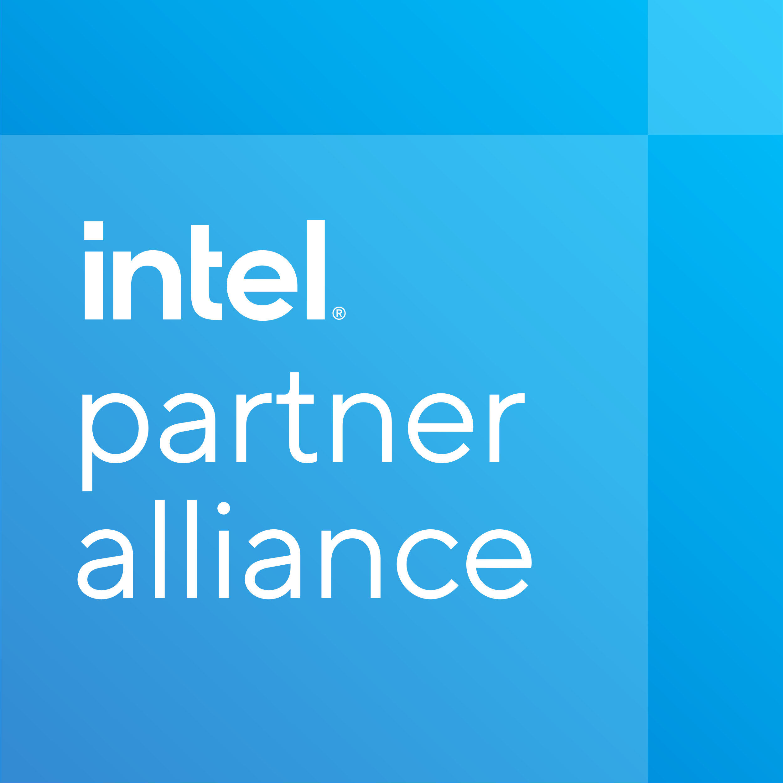 IntelPartner