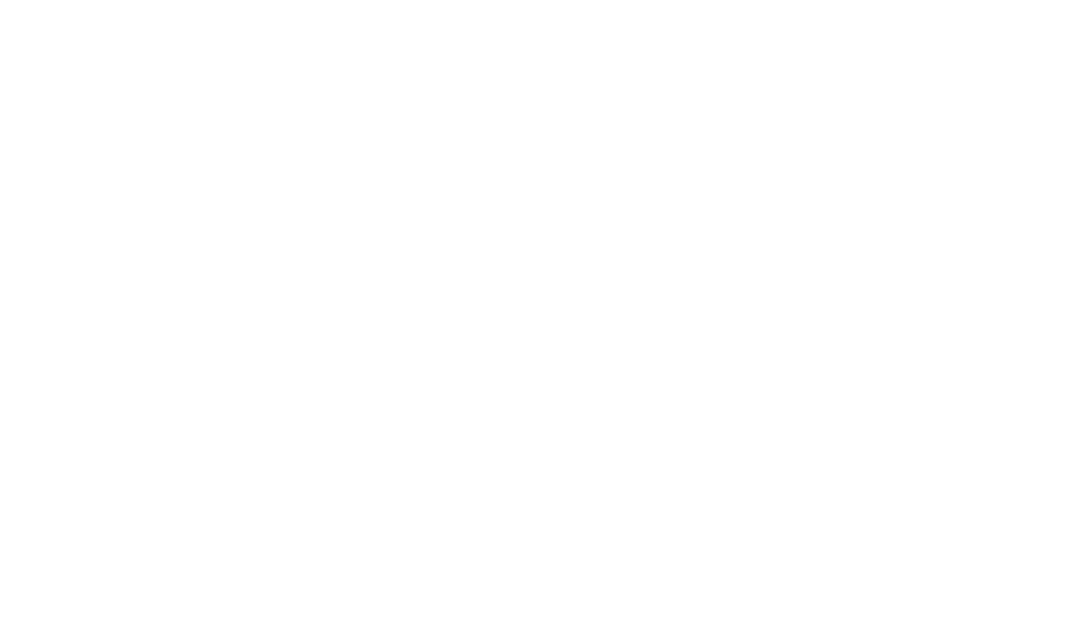 SpotLink